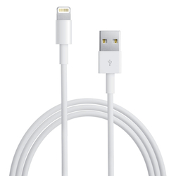  Apple Lightning to USB Cable [MD818ZM/A]